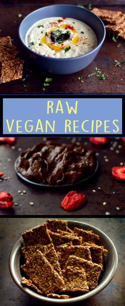 5 Raw Vegan Recipes - Raw Bread, Raw Hummus, Raw Chocolate Pudding, Raw Flax Crackers, Raw Vegan Tuna Salad - Rich Bitch Cooking Blog